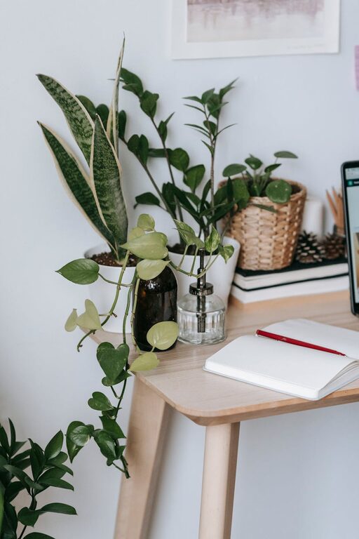 Tips for Creating a Relaxing Home Office Environment